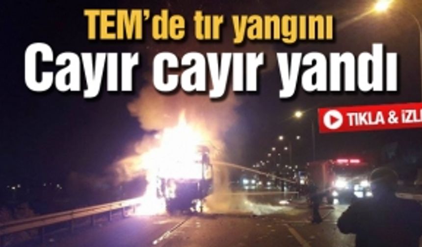 TEM’de tır yangını! Cayır cayır yandı