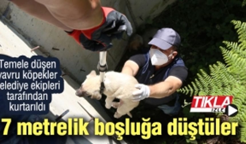 7 metrelik boşluğa düştüler!