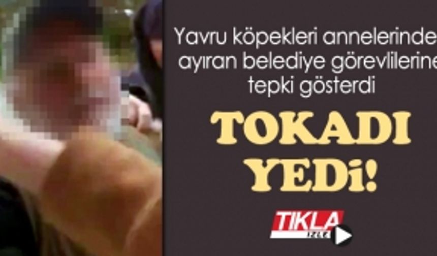 Belediye görevlilerini uyardı! Komşudan tokat yedi