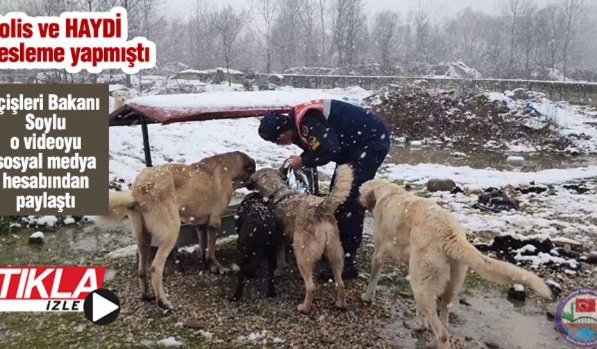 İçişleri Bakanı Soylu o videoyu sosyal medya hesabından paylaştı