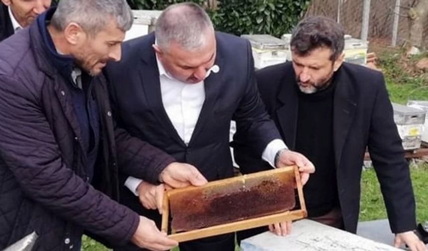 Kaynarca'da yüzlerce arı telef oldu