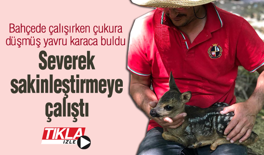 Yavru karacayı severek sakinleştirmeye çalıştı