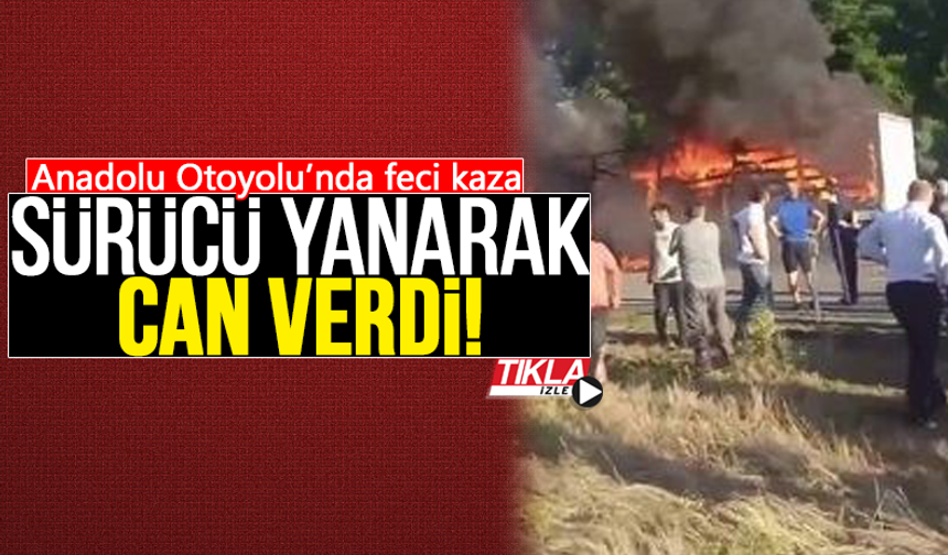 Anadolu Otoyolu’nda feci kaza: Sürücü yanarak can verdi!