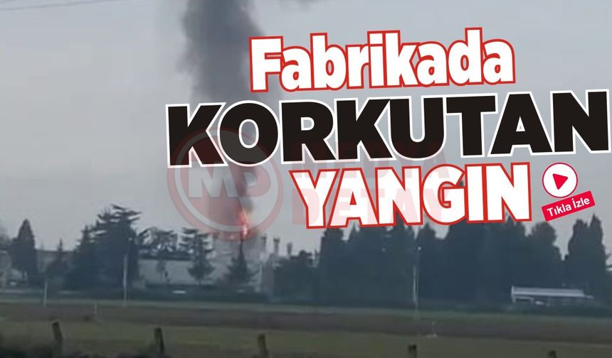 Sakarya'da lastik fabrikasında korkutan yangın!