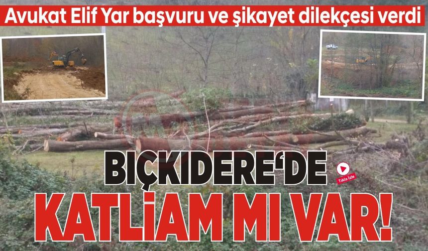 Bıçkıdere'de çevre katliamı!