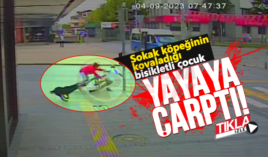 Sokak köpeğinin kovaladığı bisikletli çocuk yayaya çarptı!