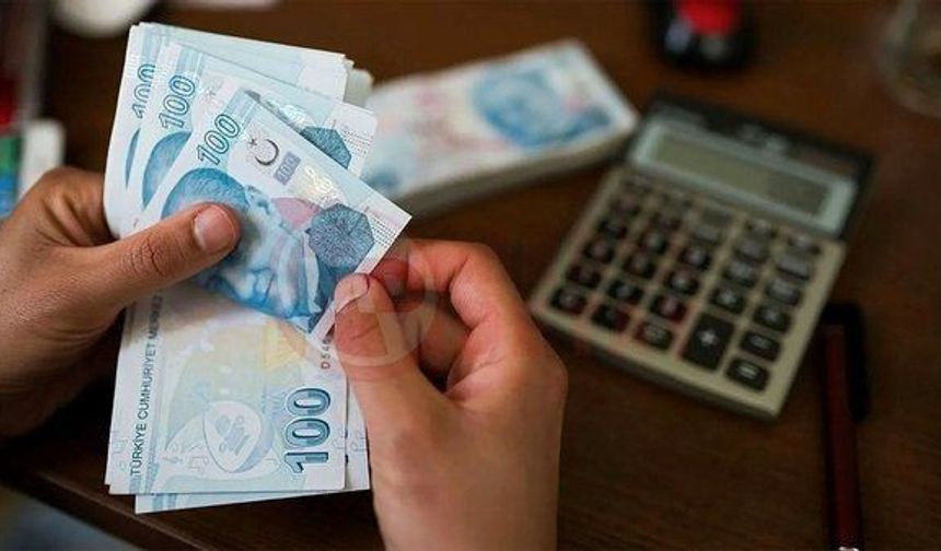 Doğum yardımı ödemeleri annelerin hesaplarına yatırıldı