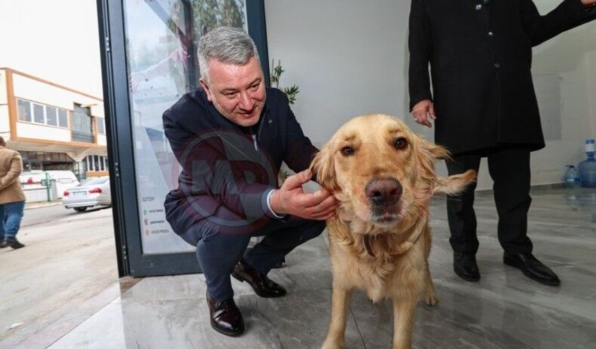Serdivan’da sokak hayvanlarına güvenli yuva hazırlığı