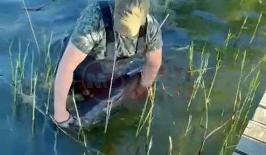 Sapanca Gölü’nde 24 kiloluk balık yakaladı