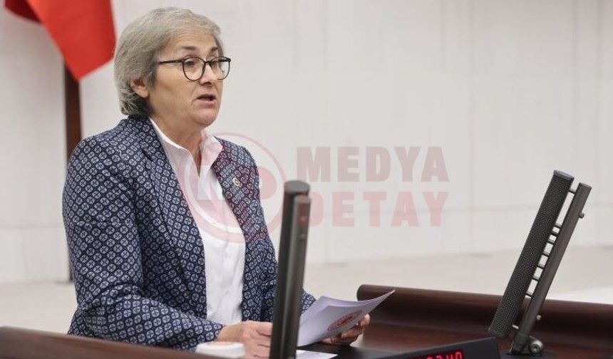 Ayça Taşkent’ten 586 hektarlık Endüstri Bölgesi kararına tepki