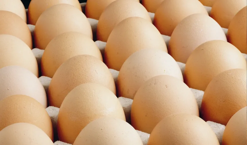 A sınıfı yumurtalarda 'tüketim tarihi' zorunluluğu!