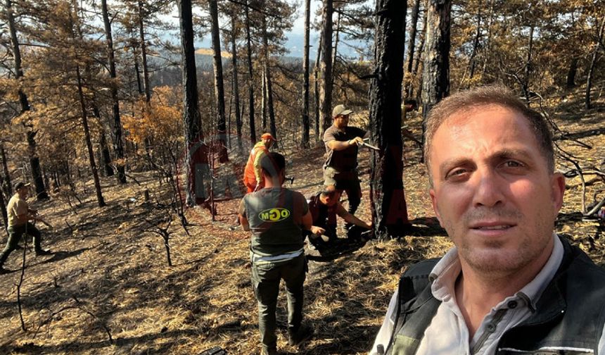 Geyve'de yanan ormanlık alanlar yeniden yeşeriyor