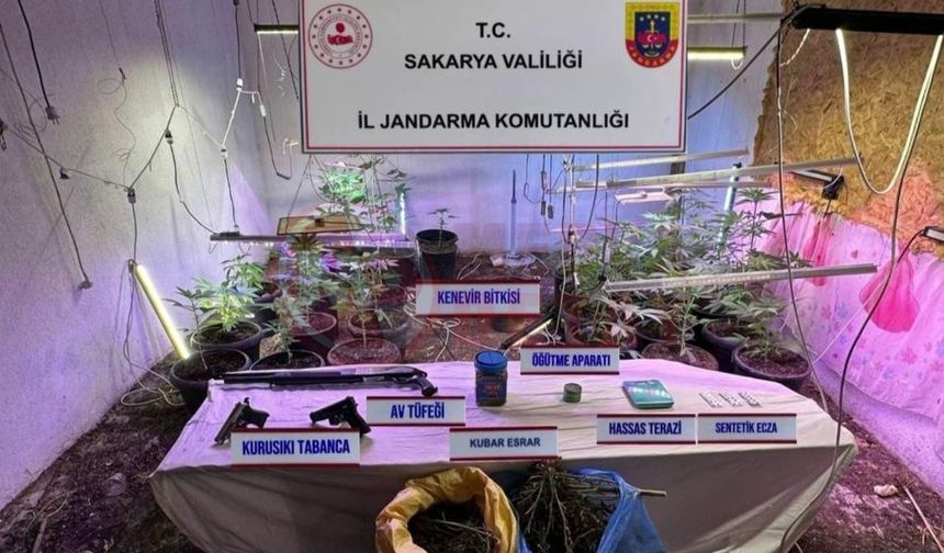 İklimlendirme sistemi ile kapalı ortamda kenevir yetiştiriyordu!