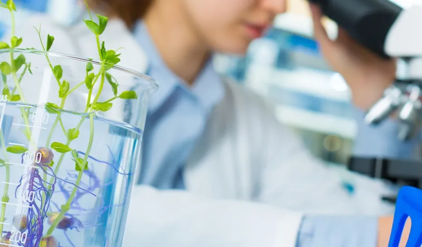 Laboratuvar denetimlerinde yeni kural!