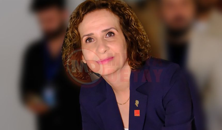 “Vatandaşın iradesi yok sayılamaz”