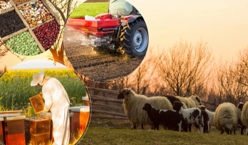 2 milyar TL'lik tarımsal destek hesaplarda