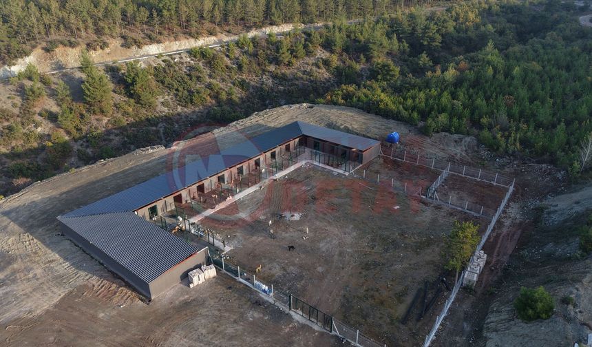 Hayvan barınağı projesinde sona gelindi