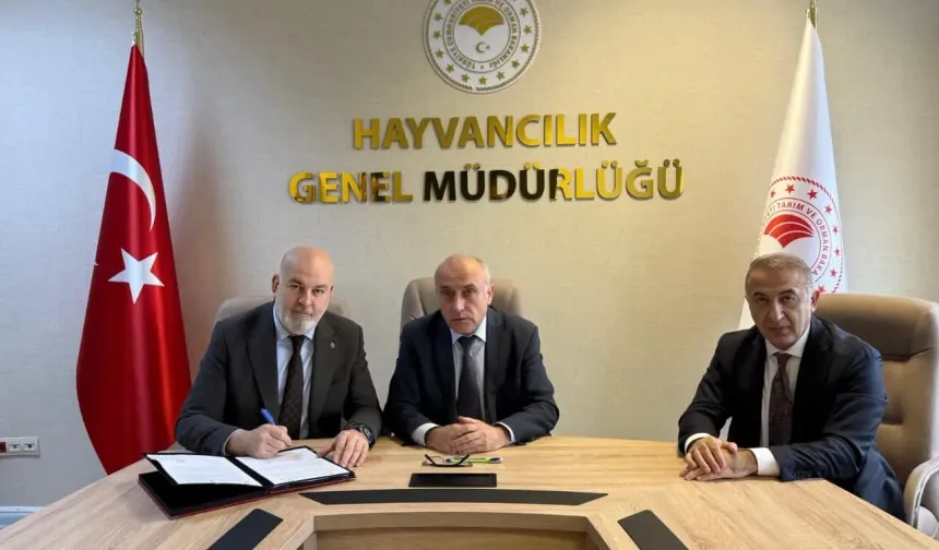 Besilik hayvan krizine neşter! İki kritik protokolle yerli üretim güçlenecek