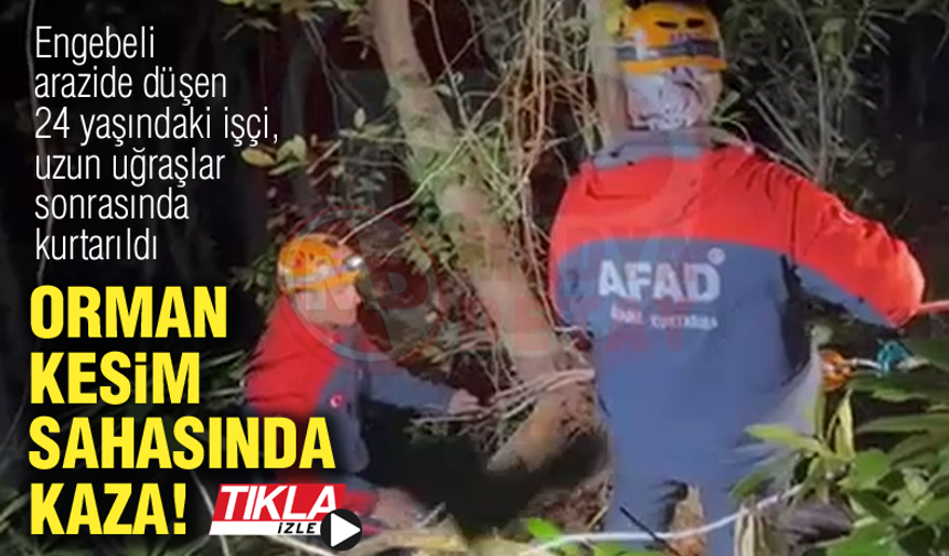 Orman kesim sahasında kaza!