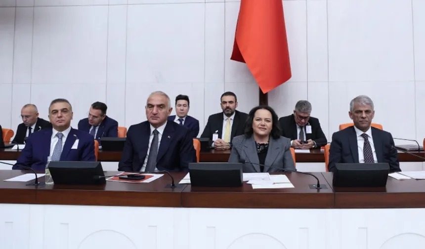 TBMM'de merkezi yönetim bütçesi görüşmeleri sürüyor