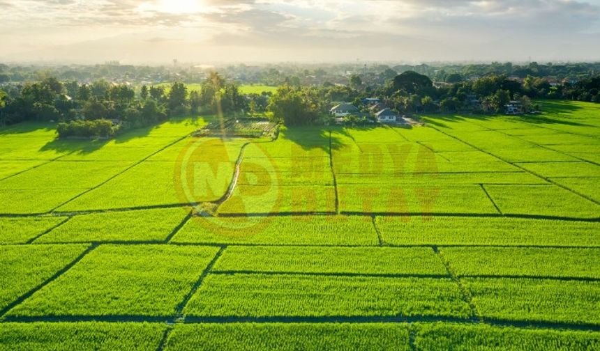 Akyazı’da mahkemeden satılık iki tarla