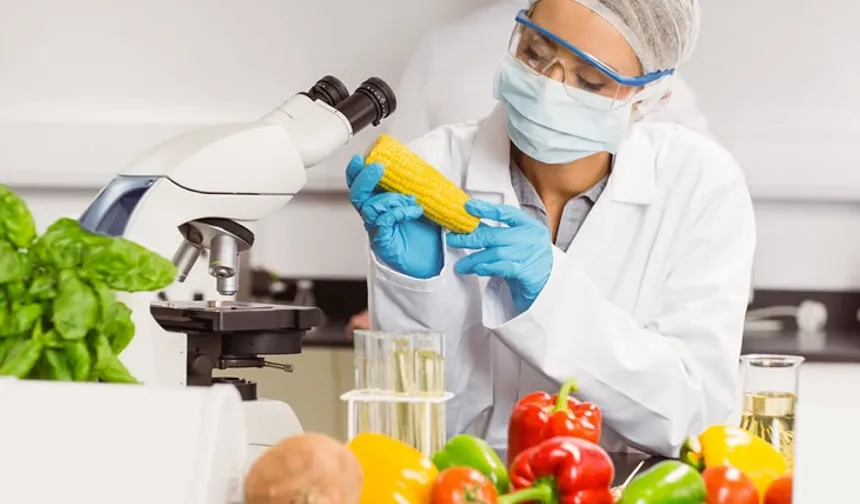 Gıda katkı maddelerine yeni düzenleme...