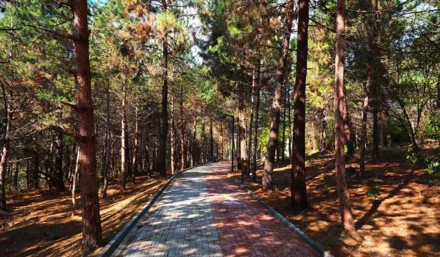 Sapanca Gölü'nde huzur dolu yaşam alanı açıldı