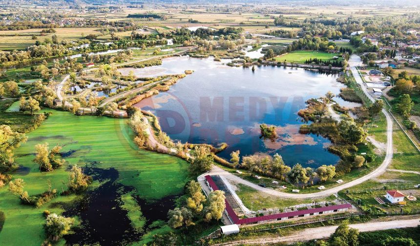 Vatandaşların tercihi Arifiye oldu