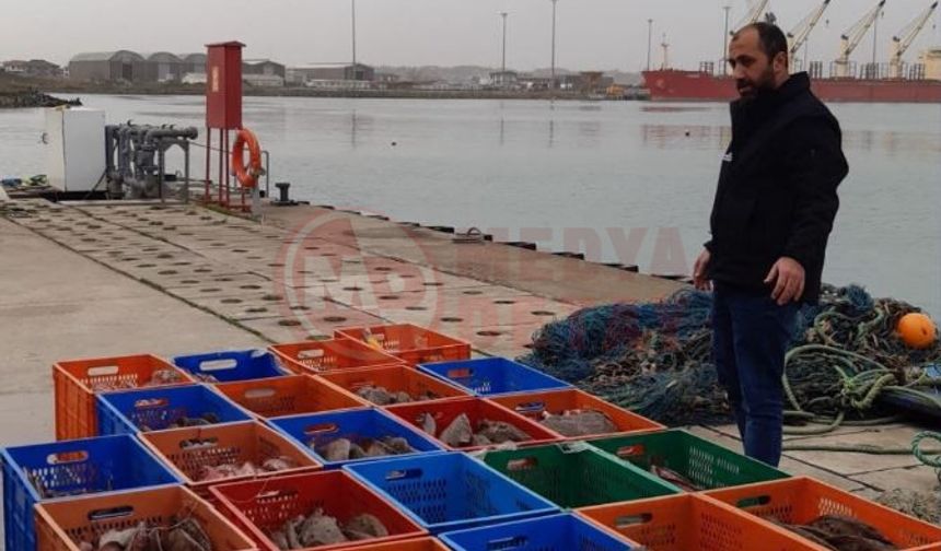 Karasu’da kaçak avcılığa dev darbe!