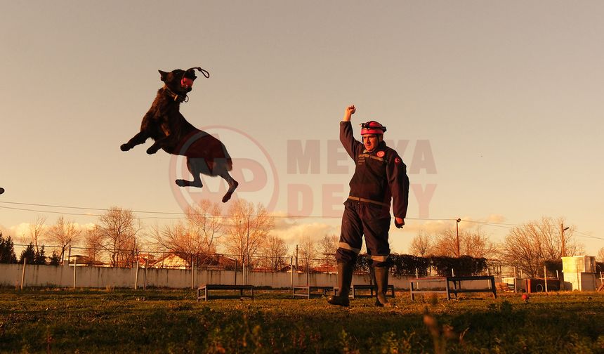 Umut olmak için hep hazır kıtalar!