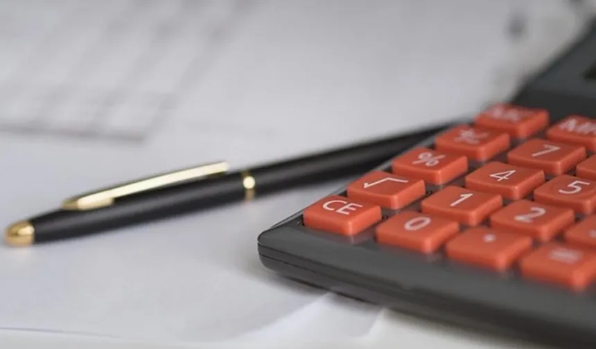 2024'te toplam cironun yüzde 12,6'sı yabancı kontrollü girişim!