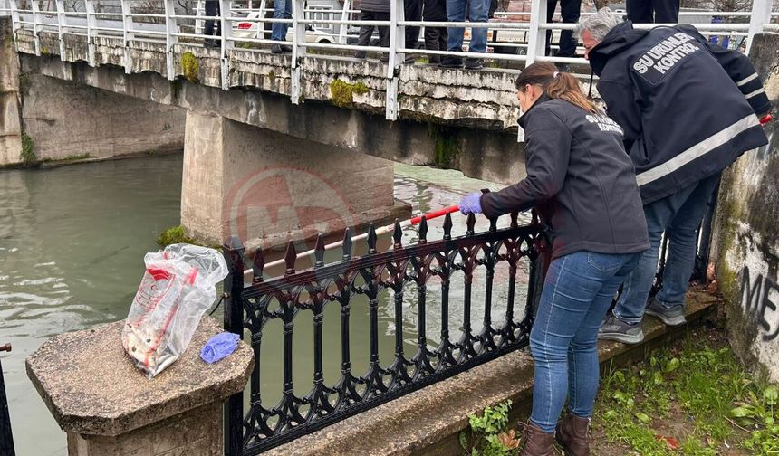 Hendek’te Uludere Çayı’nda toplu balık ölümleri