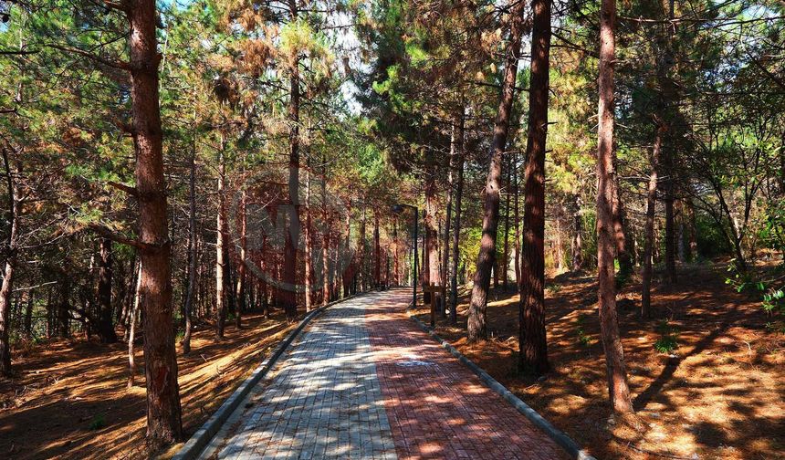 Sakarya’da Bahar Koşusu heyecanı!