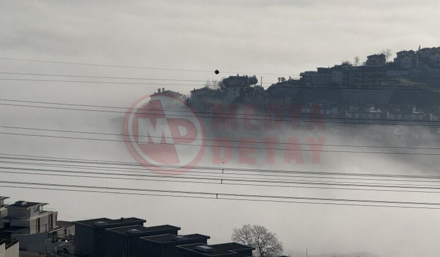 Sakarya güne sisle uyandı