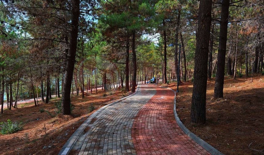 Sakaryalılar baharı ‘Huzur Koridoru’nda koşarak karşılayacak