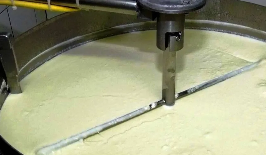 Süt ve süt ürünlerinde yoğurt üretimi arttı