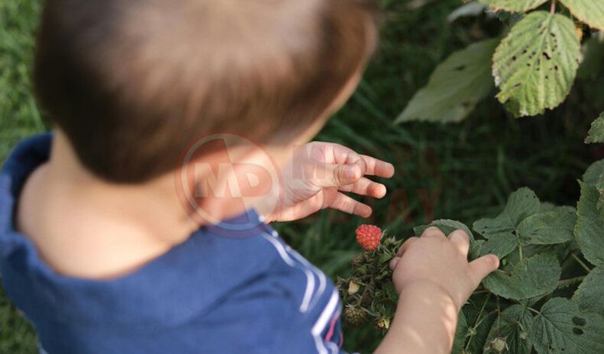 Büyükşehir’den tarım atölyesi