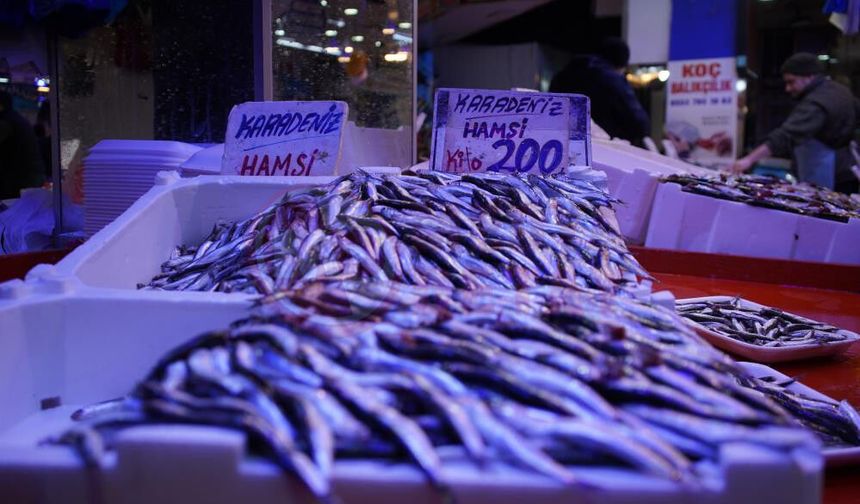 Sakarya'da sezonun son balıkları vatandaşla buluşuyor