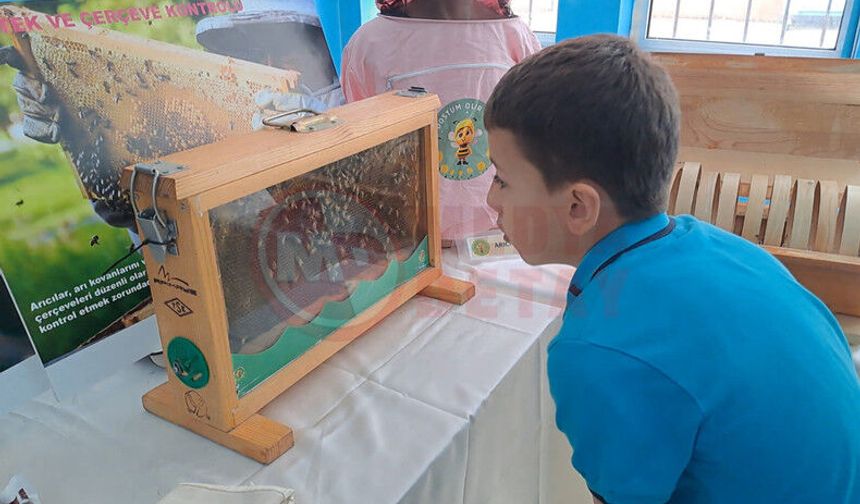 “Arı Dostum Olur Musun?” projesi yaygınlaşıyor