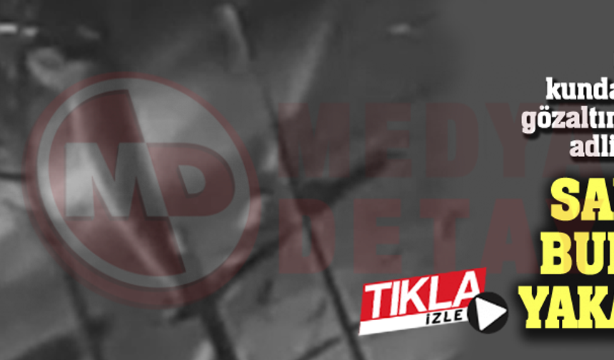 Sapanca’da bungalovda yakalandılar