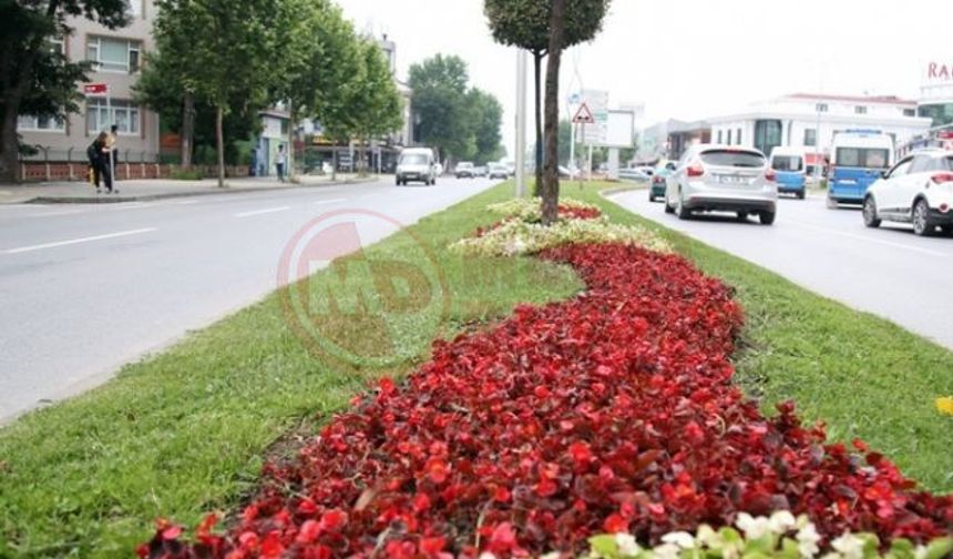 Şehir estetiği için iki ihale birden!