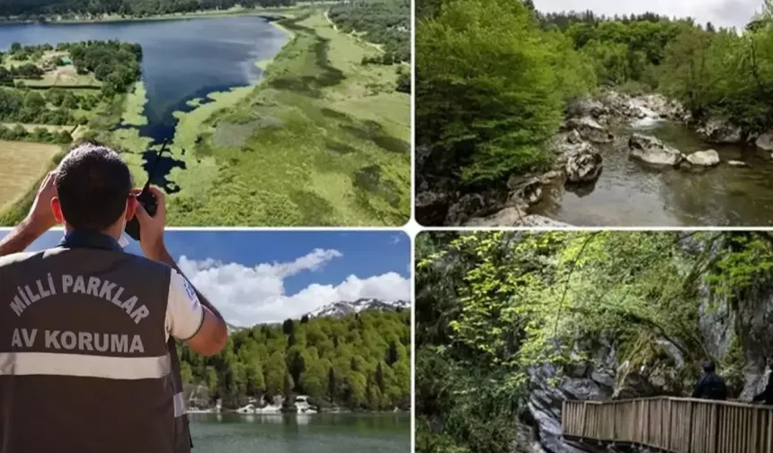 Doğa Koruma ve Milli Parklar Uzmanlığı için 'tez' zorunluluğu