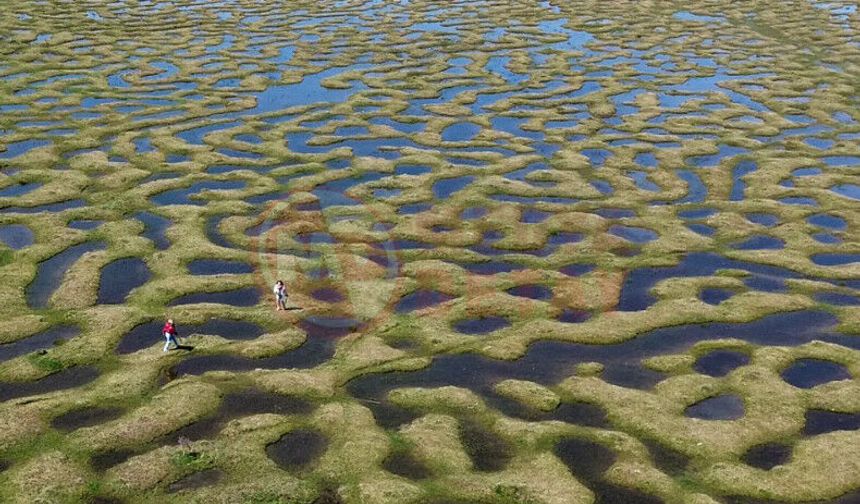 Saklı cennet Karagöl Yaylası’nda doğa şöleni