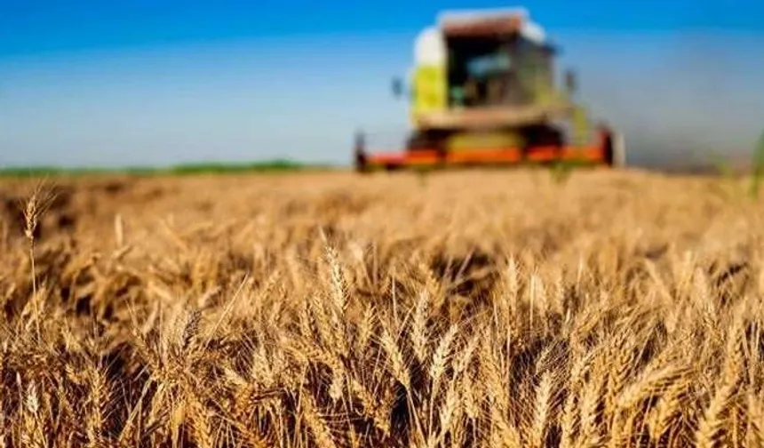 Tarım ve Orman Bakanlığı'ndan 30 milyon TL'ye kadar hibe!