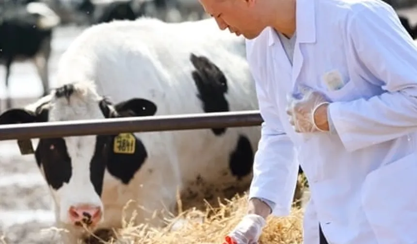 Tarımda maliyet baskısı sürüyor