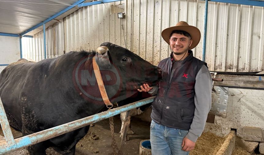 4 yaşındaki dev tosunları gören bir daha bakıyor