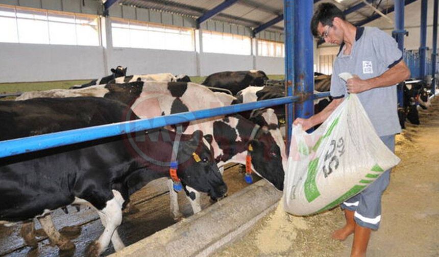 Yem sektöründe ithalat alarmı