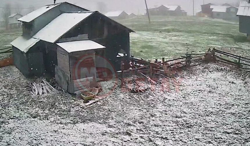 Yüksek kesimler beyaza büründü