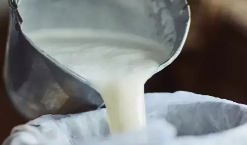 Çiğ süt üretimi 2025'te geriledi!