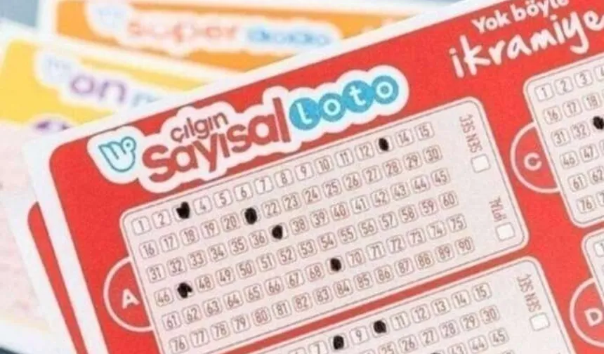 Çılgın Sayısal Loto Sakarya'ya isabet etti